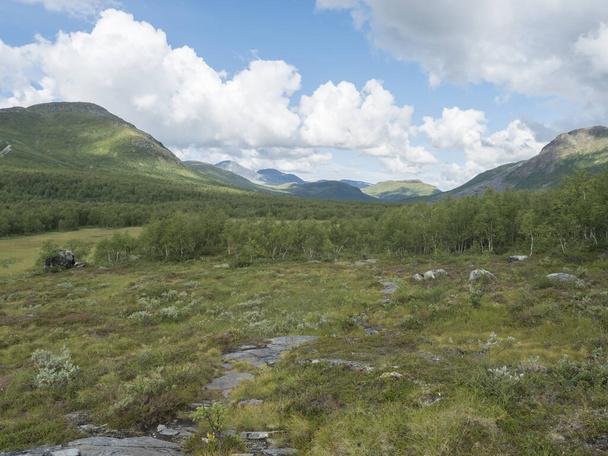Schöne arktische Landschaft im Norden, Tundra in Schwedisch Lappland mit grünen Hügeln und Bergen und Birkenwald am Padjelantaleden-Wanderweg. Sommertag, blauer Himmel, weiße Wolken - Foto, Bild