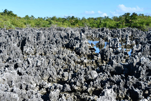 Formaciones de piedra caliza en la ciudad del Infierno en Gran Caimán en las Islas Caimán - Foto, Imagen