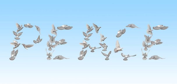 白いハトの群れが"平和"という言葉の形でグラデーションの青い空を飛んでいます。クリッピングパスで青の背景に隔離された美しい鳥と概念的なはがき。愛と平和の概念、鳩 - 写真・画像