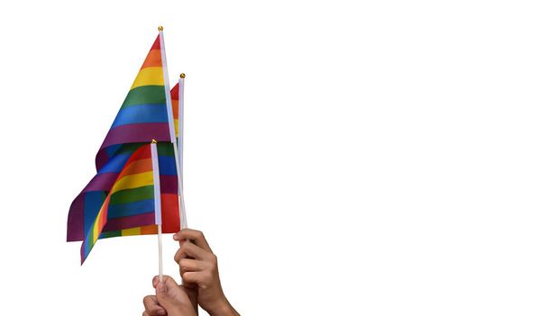 isolated rainbow flags, lgbt symbol, in hands with clipping paths. - Foto, Imagem