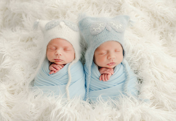 Twins newborn studio portrait - Foto, imagen