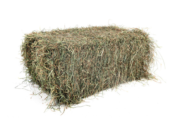 hay bale in front of white background - Photo, Image