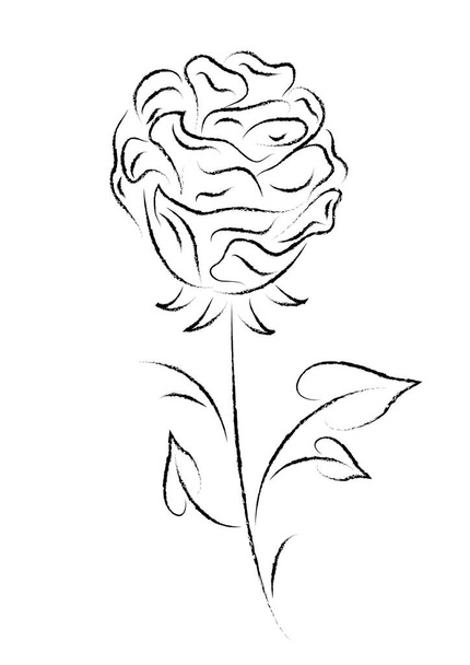 Monochrome full-blown abstract rose on a stem with petals. Black and white hand drawn flower in vector, and jpg, object white isolated. - Vecteur, image