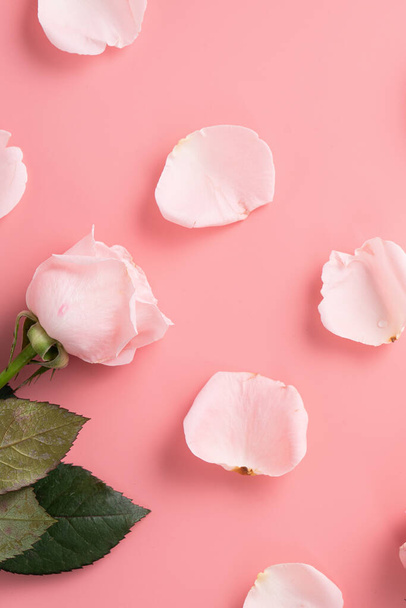 Mother's Day design concept background with pink rose flower on pink table background background - Fotografie, Obrázek