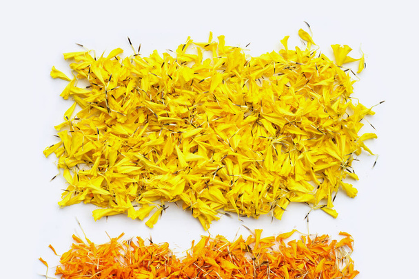 Marigold květiny okvětní lístky na bílém pozadí. - Fotografie, Obrázek