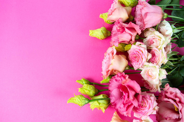 pink flowers isolated on pink background - Fotó, kép