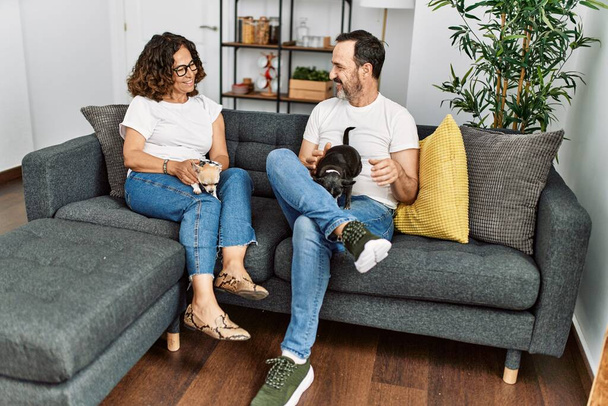 Латиноамериканская пара средних лет улыбается счастливой сидя на диване с собаками дома. - Фото, изображение