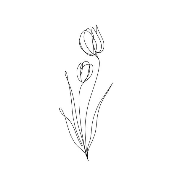  チューリップの花の連続線画。一本の線画。編集可能。ミニマリズムのスケッチ招待状のアイデアInstagramのストーリーのデザインアイコンを強調します。花のセットラインアート - 写真・画像