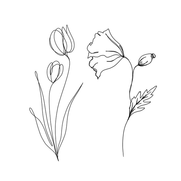 Tulip and poppy flowers continuous line drawing. One line art. Editable line. minimalism sketch, idea for invitation, design of instagram stories and highlights icons. set line art set of flowers - 写真・画像