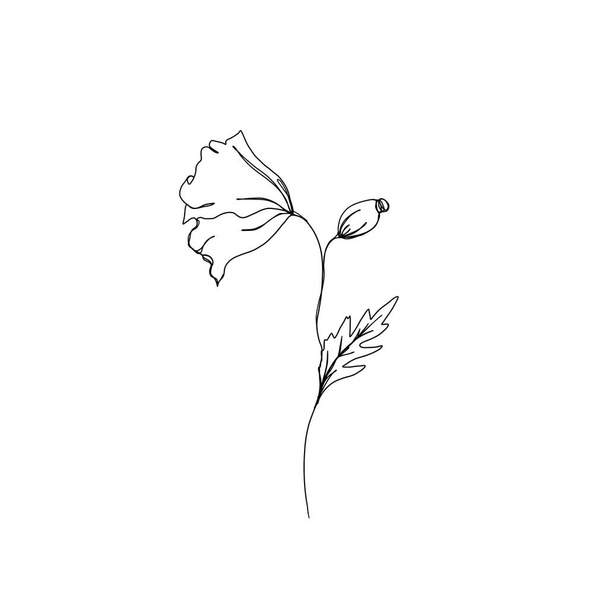 Poppy flower continuous line drawing. One line art. Editable line. minimalism sketch, idea for invitation, design of instagram stories and highlights icons. set line art set of flowers - Photo, Image