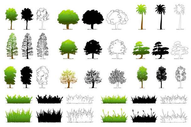 serie di albero diverso
 - Vettoriali, immagini