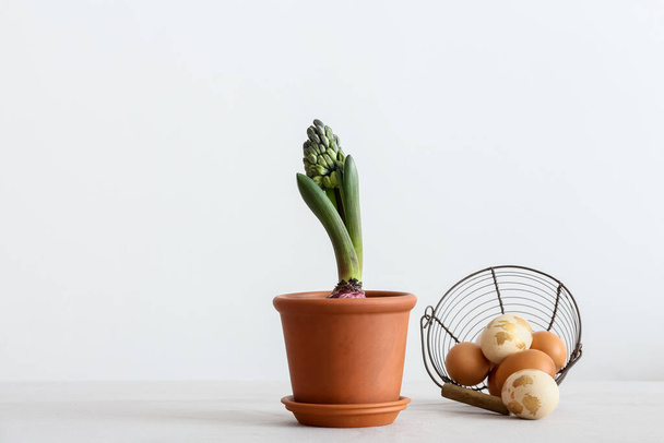 Pot avec belle plante de jacinthe et oeufs de Pâques sur fond clair - Photo, image
