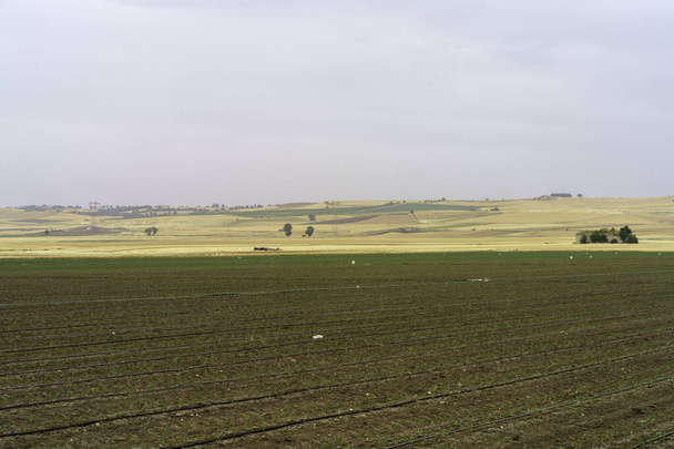 Landschap in Basilicata langs de weg van Gravina in Puglia naar Melfi, provincie Potenza, Italië - Foto, afbeelding