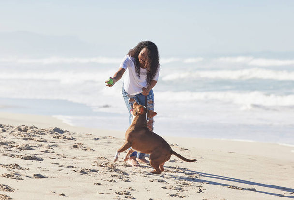 Klaar, klaar, haal. Schot van een vrouw die speelt met haar pitbull op het strand. - Foto, afbeelding