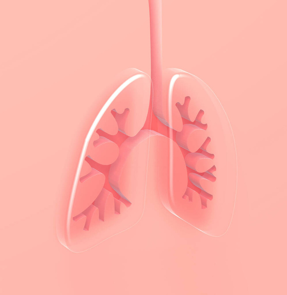 3D ilustrace dýchacího ústrojí, reliéfní bronchy, na ploché siluetě lidské postavy, s bílým pozadím a stínem. - Fotografie, Obrázek