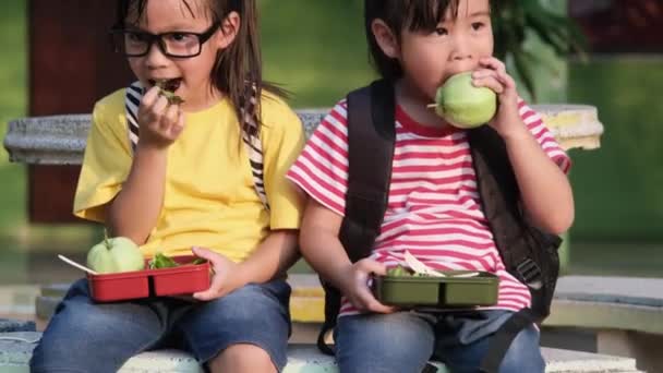 İki liseli kız okulda öğle yemeği yiyor. Sağlıklı okul yemeği. - Video, Çekim