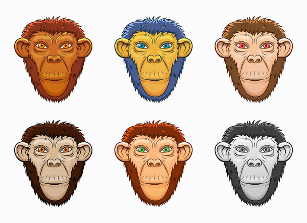 Desenho vetorial de macaco ilustração isolada sobre fundo branco - Vetor, Imagem