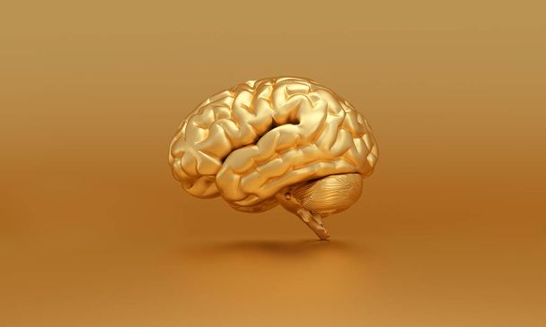 Χρυσός εγκέφαλος σε χρυσό φόντο, σκέψη, ιδιοφυής ιδέα. 3d απόδοση. - Φωτογραφία, εικόνα