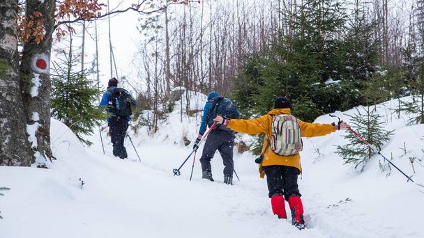 A háta tapasztalt barátságos túrázók fényes sí jelmezek és színes kalap. Az út borított hó és más túrázók a háttérben - Fotó, kép