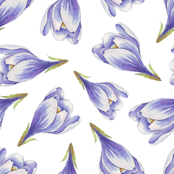 Spring flowers seamless pattern. Watercolor crocuses. Hand-painted - Photo, Image