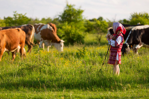 child tending cows - Fotografie, Obrázek
