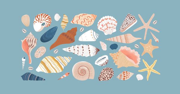 Állítsa be a különböző tengeri héj, vízi élet állatok lapos rajzfilm stílusban. Elszigetelt tengeri kagyló, csillaghal és egzotikusabb élővilág. Nyári nyaralás gyűjtemény, trópusi strand kagylók. - Vektor, kép