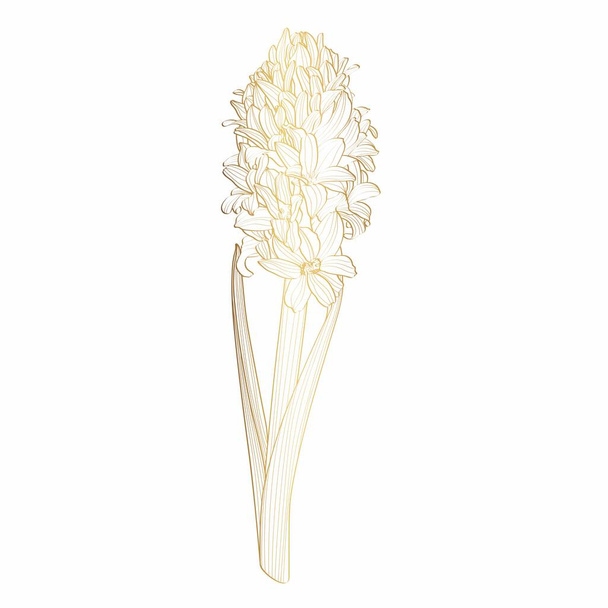 Giacinto fiore decorativo dorato isolato su sfondo bianco. Elemento floreale per il design primaverile. - Vettoriali, immagini