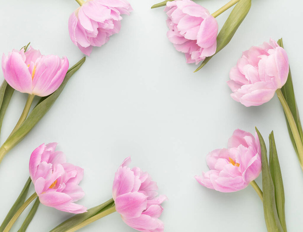 Рожеві квіти тюльпанів на пастельному фоні
. - Фото, зображення