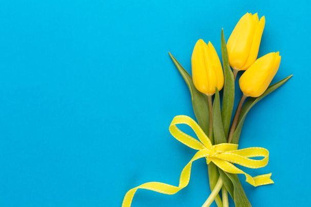 Yellow tulips on blue background. Spring greeting card. Top view. Copy space - Valokuva, kuva