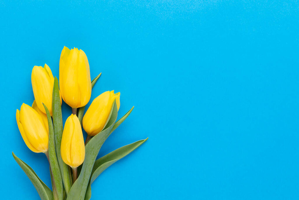 Yellow tulips on the blue background. - Photo, Image