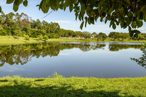 Landscape of a very wooded park and a lake, in the city of Goinia. Leolidio di Ramos Caiado Park. - Photo, Image