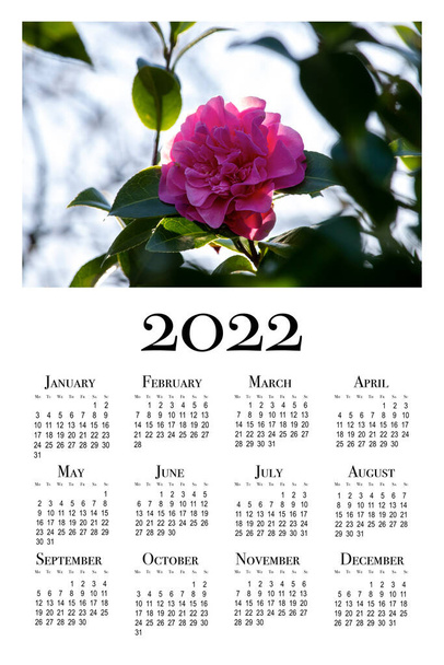 Βοτανικό ημερολόγιο για το 2022. Κάθετο ημερολόγιο τοίχου για το 2022, η εβδομάδα ξεκινά τη Δευτέρα. - Φωτογραφία, εικόνα
