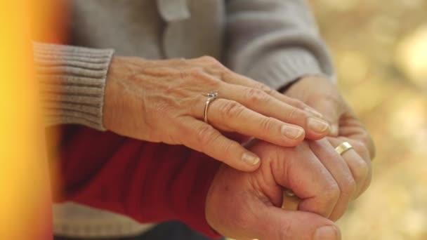 Senior spouses showing their wedding rings to the camera. Long-lasting love concept. - Footage, Video
