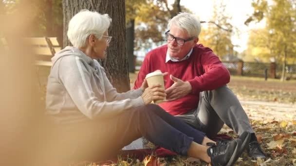 Nonni dai capelli grigi che fanno un picnic in autunno e chiacchierano. Concetto di anziani attivi. - Filmati, video