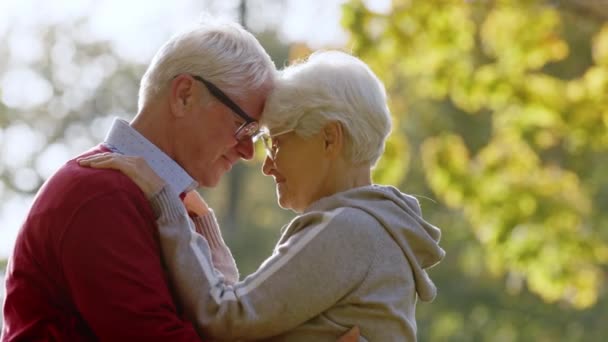 Zwei kaukasische ältere grauhaarige Menschen umarmen und berühren einander an der Stirn. - Filmmaterial, Video