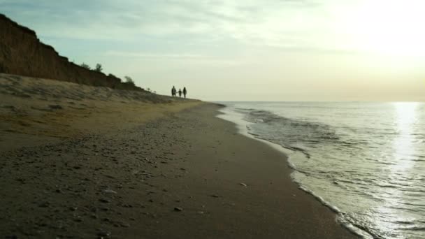Οικογενειακή ομάδα με τα πόδια παραλία από την ακτή της θάλασσας. Κύματα που πέφτουν στην ακτή του ωκεανού. - Πλάνα, βίντεο