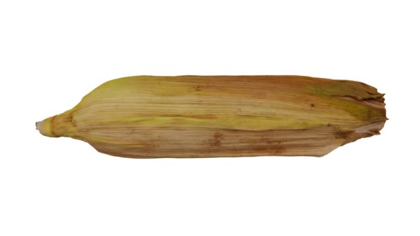Representación realista de un maíz sin pelar (Maíz) sobre la mazorca en la cáscara sobre fondo blanco. El video está girando sin problemas, y el objeto 3D se escanea desde un maíz real. - Imágenes, Vídeo