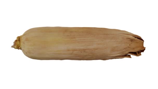 Realistische Darstellung eines rollenden ungeschälten Mais (Mais) auf dem Cob in the Husk auf weißem Hintergrund. Das Video ist nahtlos in Looping, und das 3D-Objekt wird von einem echten Mais gescannt. - Filmmaterial, Video