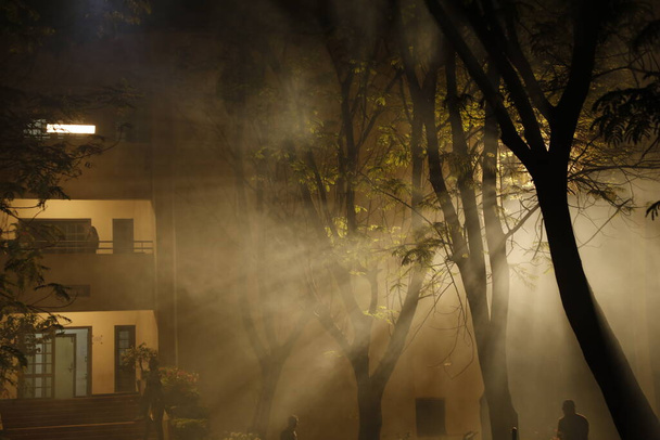 庭で夜の煙 - 写真・画像
