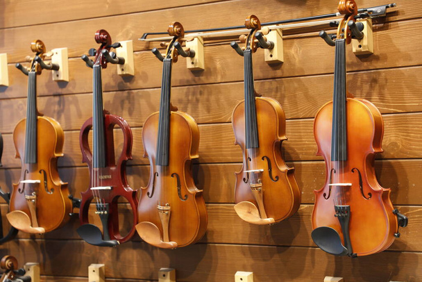 Music Instrument Guitars on display - Photo, Image