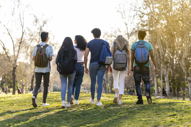 Vista trasera de una fila de jóvenes estudiantes multiétnicos caminando juntos en el parque - Foto, Imagen