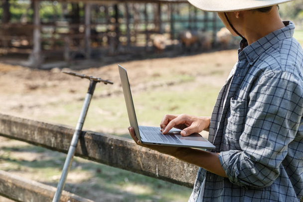 Фермер використовує комп'ютерний ноутбук у своїй фермі, сільському господарстві та концепції худоби
. - Фото, зображення