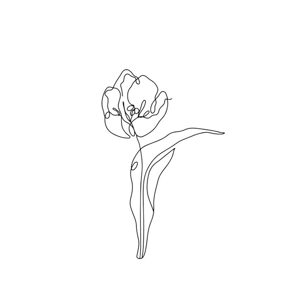 Una línea dibujando tulipán. Flor de una sola línea dibujada a mano - Vector, imagen