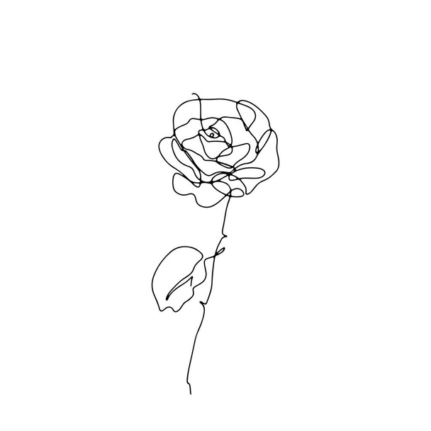 Jedna linia różany kwiat rysunek. - Wektor, obraz