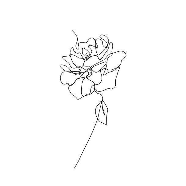 One single line rose flower drawing. - Vektör, Görsel