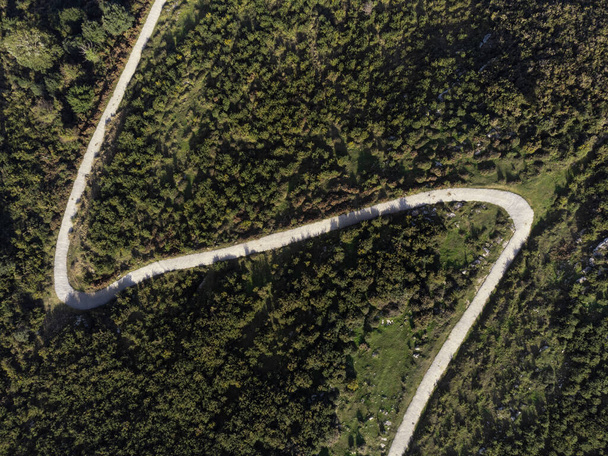 Aerial vertical view from a totally perpendicular drone flying over a mountain area populated with trees and a zig zag track - Φωτογραφία, εικόνα