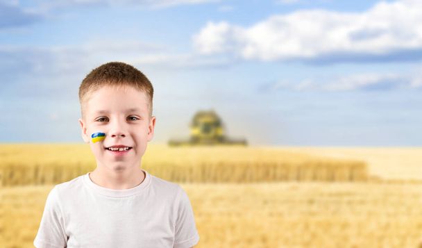 Guerra en Ucrania. No hay guerra. Un niño con la bandera de Ucrania en la cara está parado en un campo de trigo - Foto, Imagen