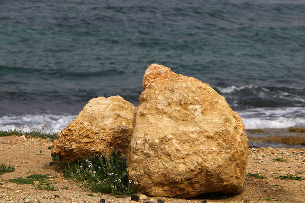 Duże kamienie w parku miejskim nad brzegiem Morza Śródziemnego w północnym Izraelu.  - Zdjęcie, obraz