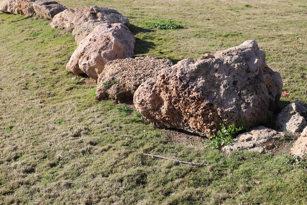 北イスラエルの地中海沿岸の都市公園内の大きな石.  - 写真・画像