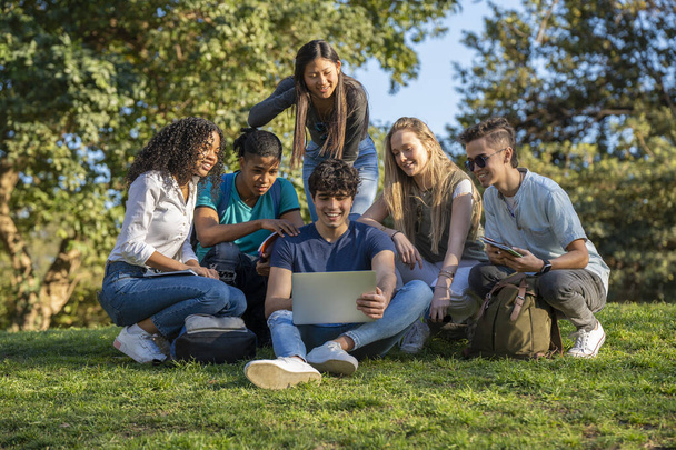Gruppe Jugendlicher schaut auf Laptop im Park auf grünem Gras - Foto, Bild